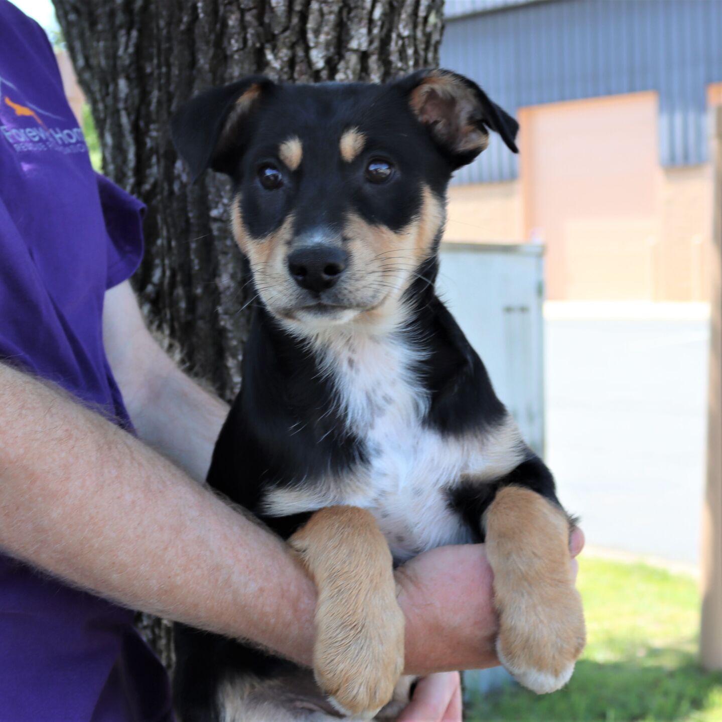 Warren pup Loretta 2022-04-16.JPG